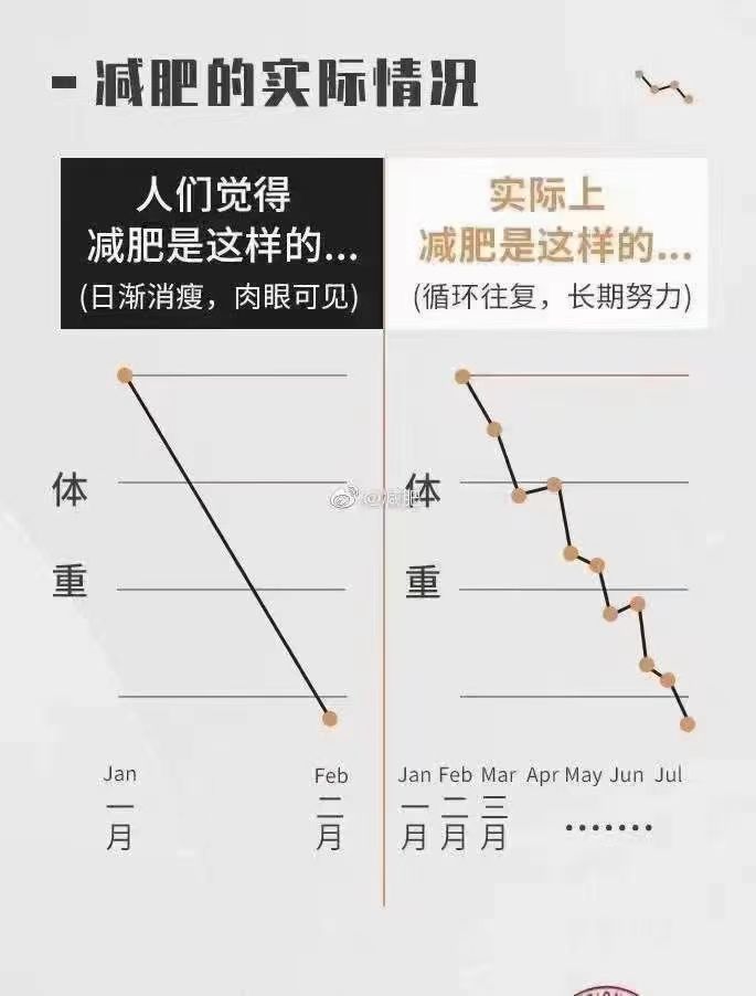 什么样的减肥掉秤是合理的?