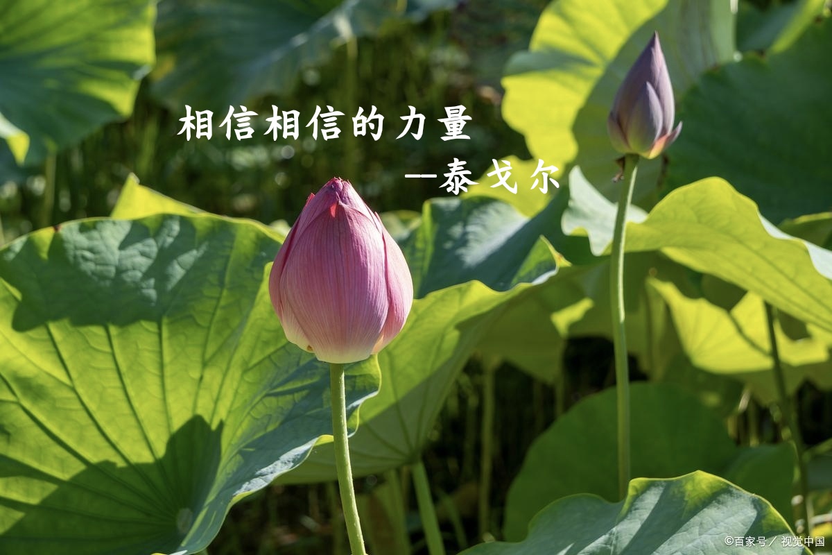 相信❤️相信的力量📈⛳️🍎🌈🌅🌎🎁🎉--泰戈尔-瘦圈-广州瘦吧网络科技有限公司