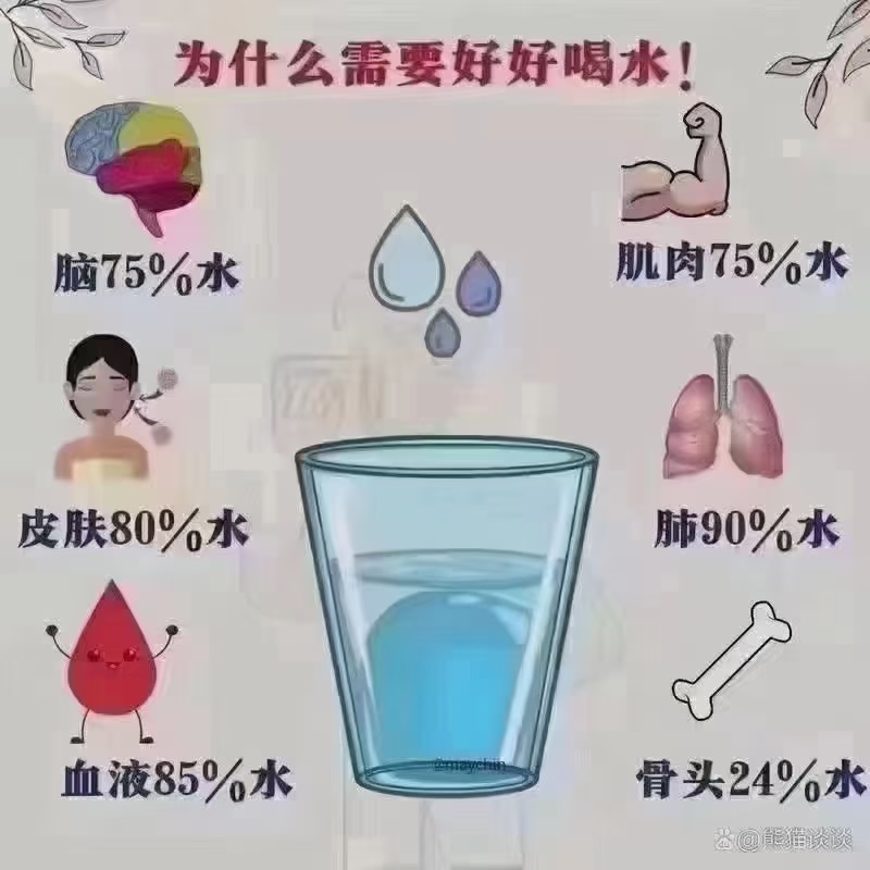一天喝几杯水可以减肥(一天喝多少水能起到减肥的作用)