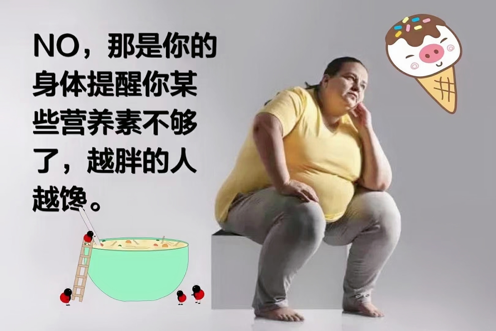 肥胖是营养不良，不是营养过剩