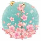 曹曹