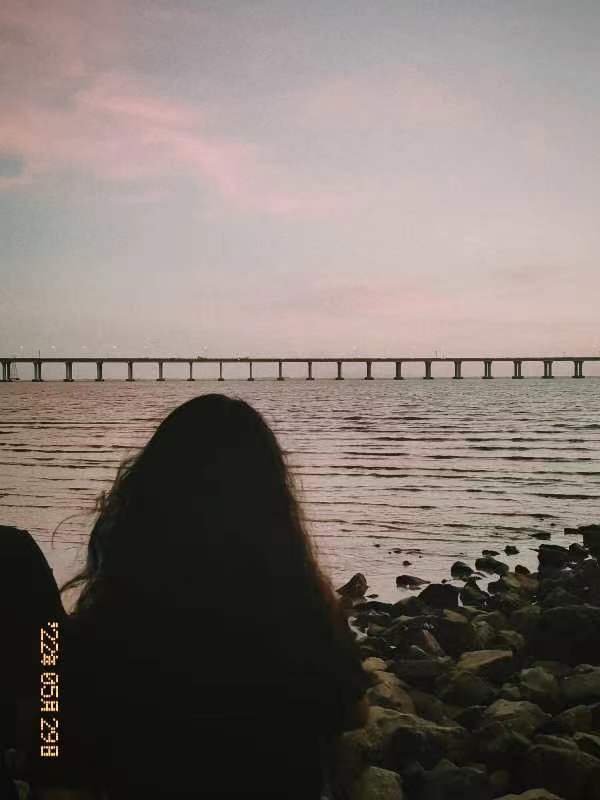 杨丹
