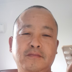 晨马